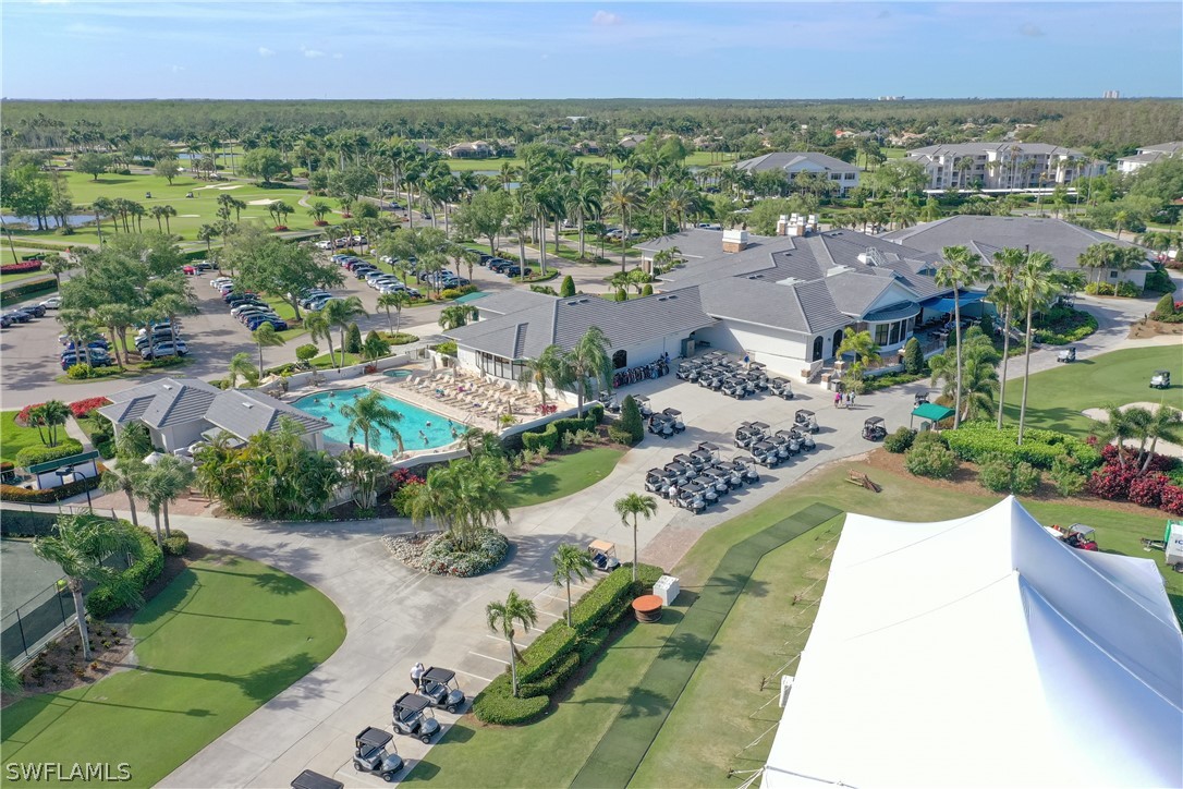 10390 Washingtonia Palm WAY 4422