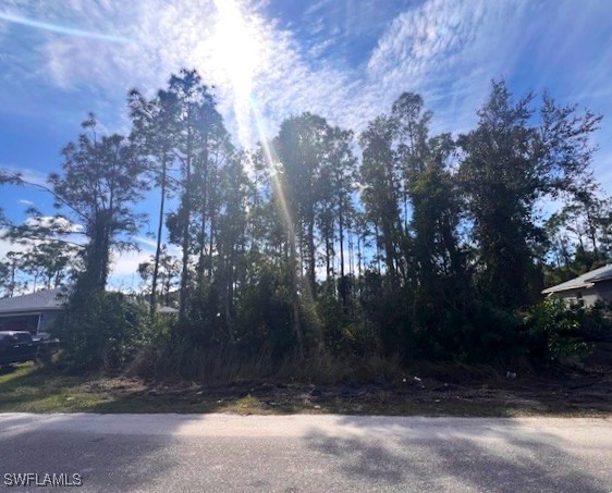 4629/4631 30th ST SW