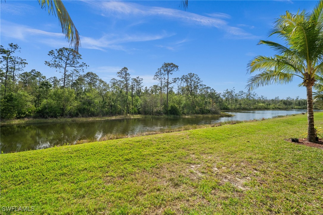 10246 Via Colomba CIR