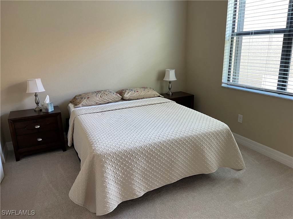 11617 Lakewood Preserve PL