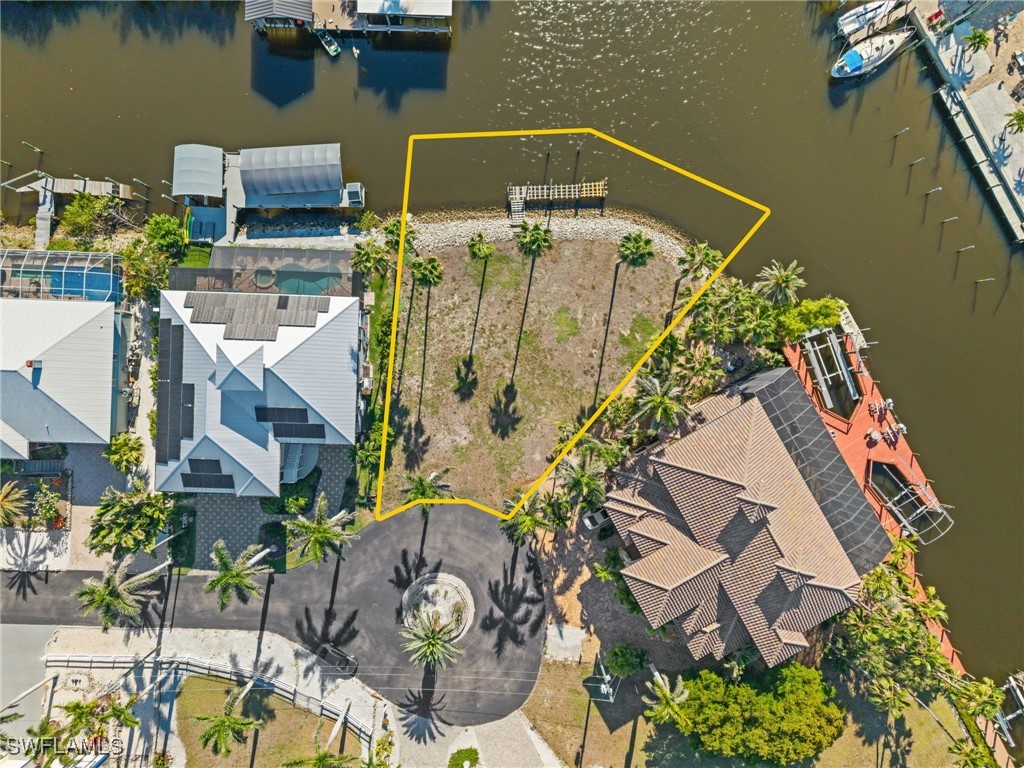 17890 Grey Heron CT