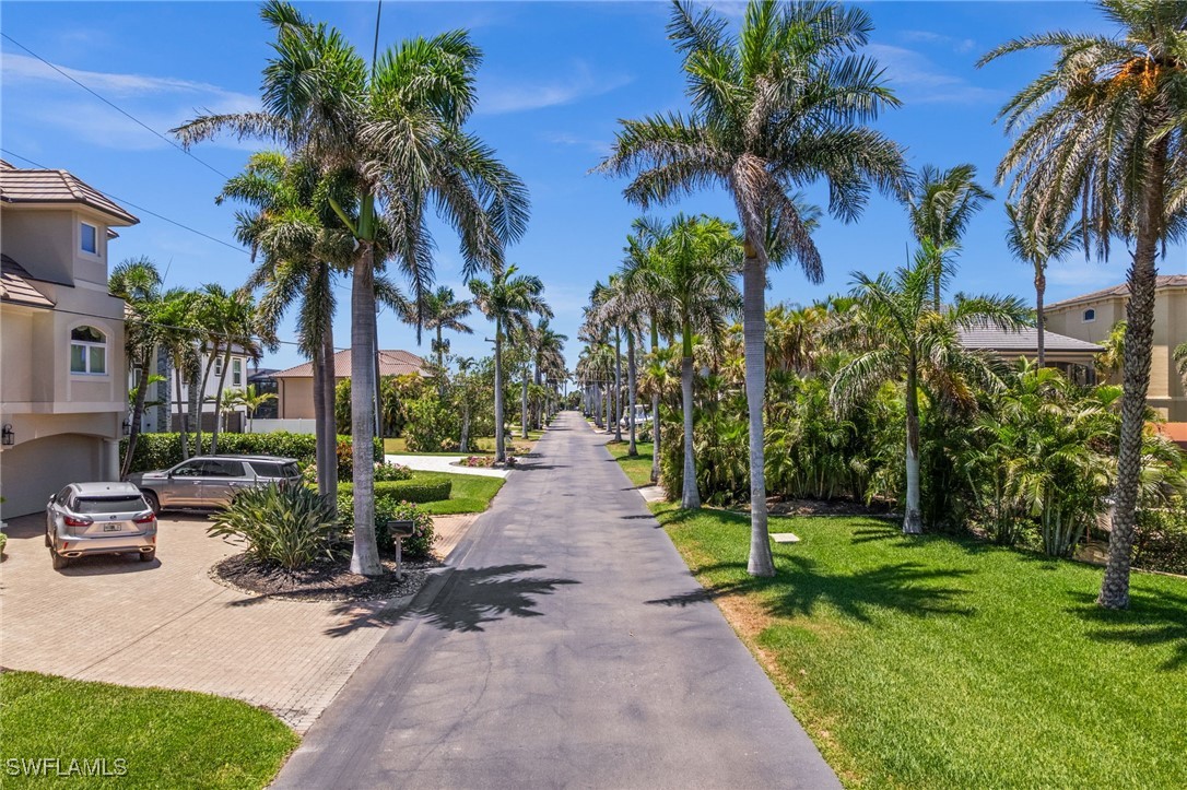 17890 Grey Heron CT