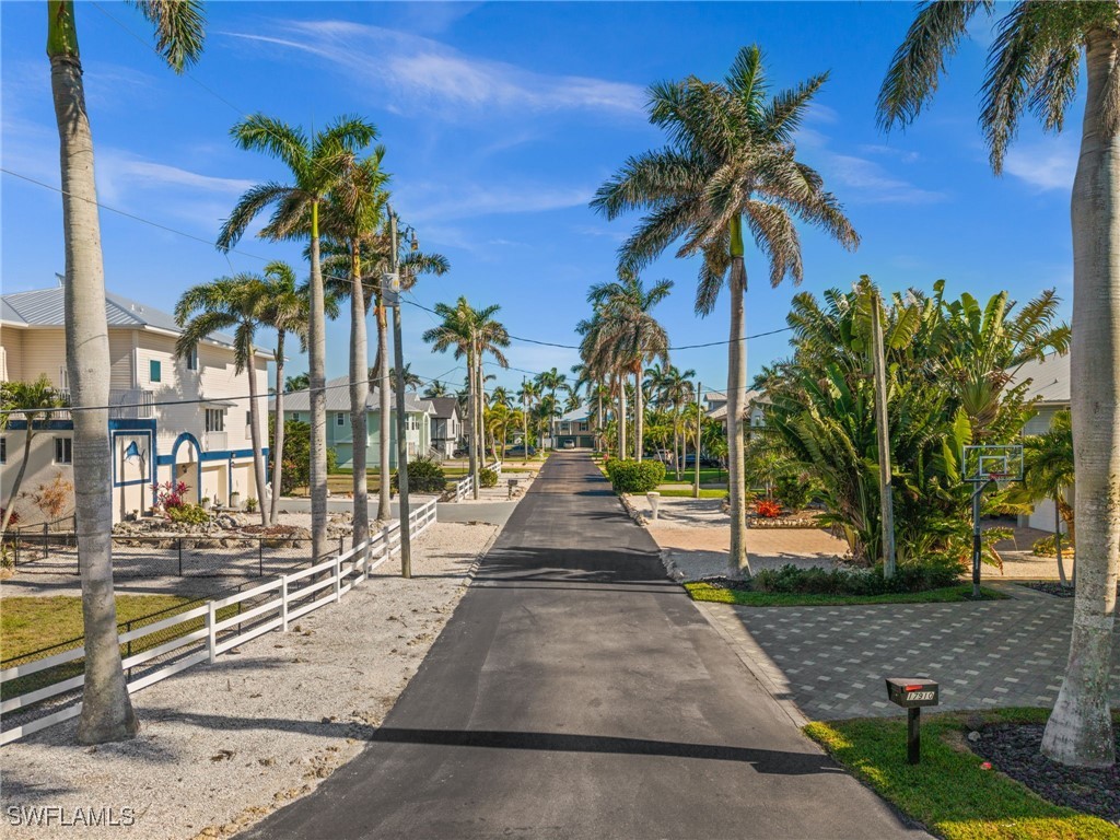 17890 Grey Heron CT