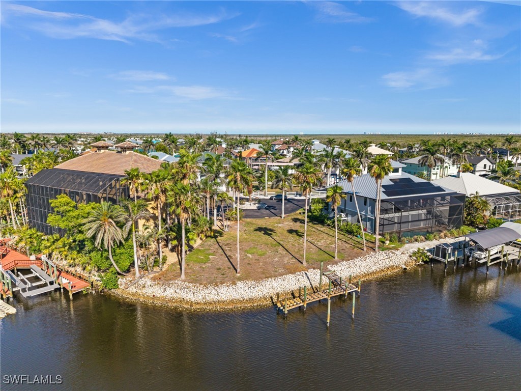 17890 Grey Heron CT