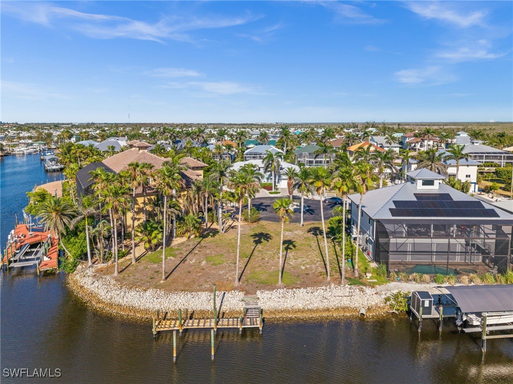 17890 Grey Heron CT