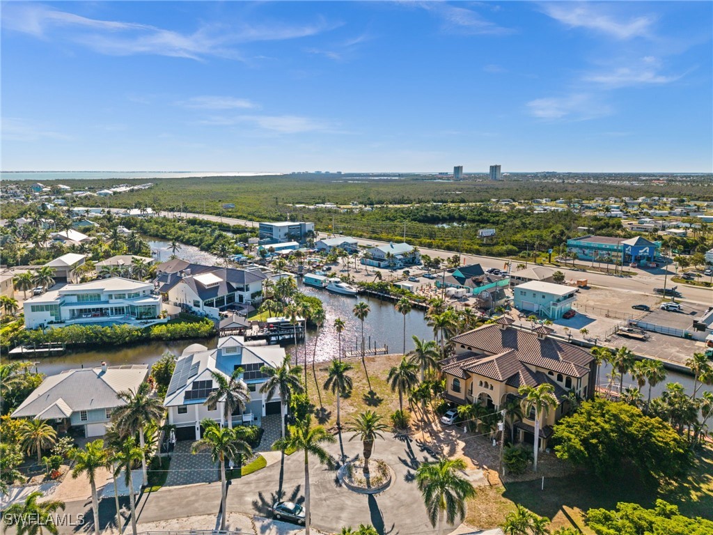 17890 Grey Heron CT
