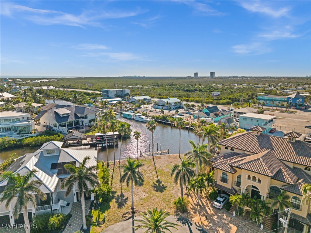 17890 Grey Heron CT