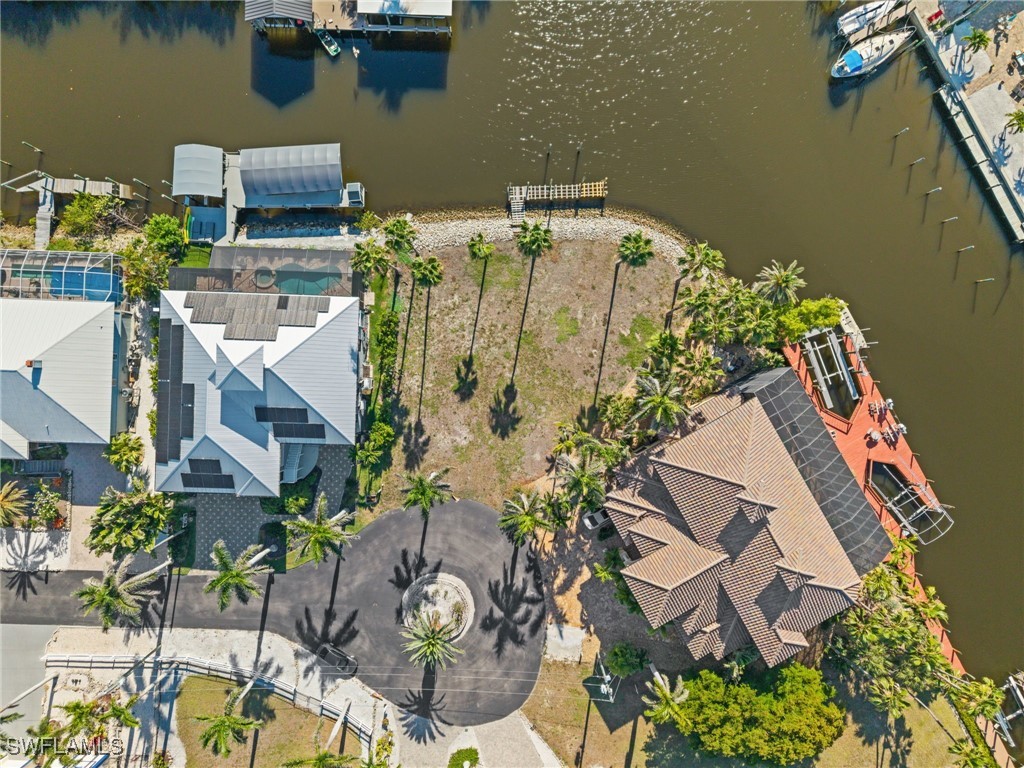17890 Grey Heron CT