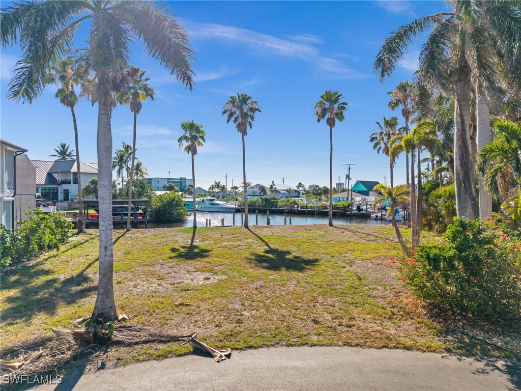 17890 Grey Heron CT