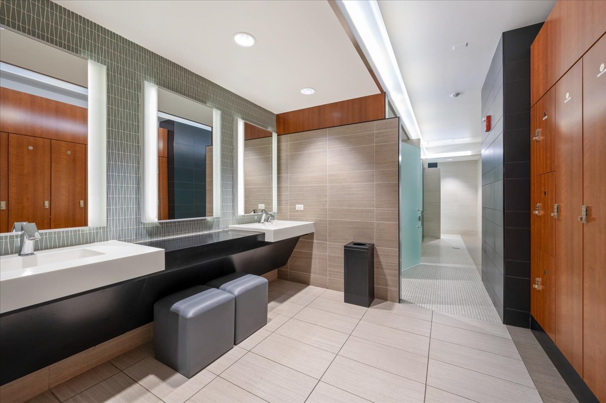 175 E Delaware Place Unit: 7910