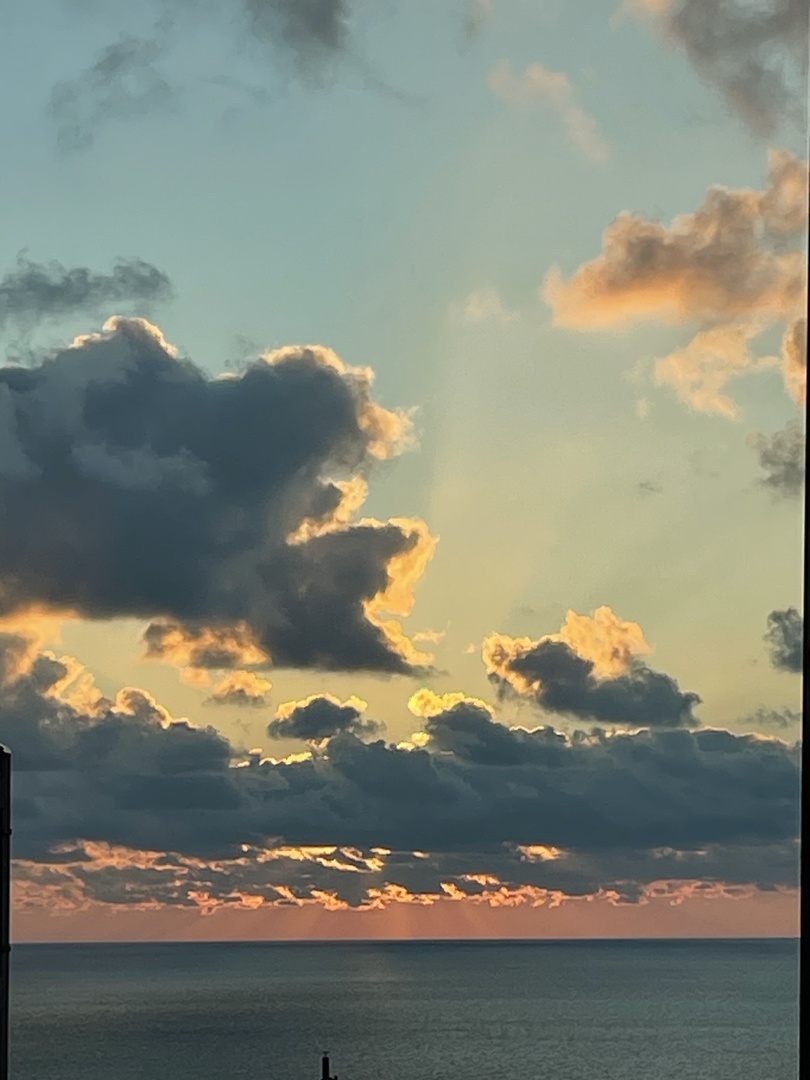 57 E Delaware Place Unit: 3804