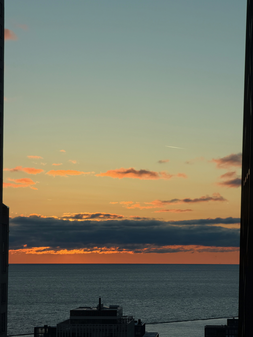 57 E Delaware Place Unit: 3804