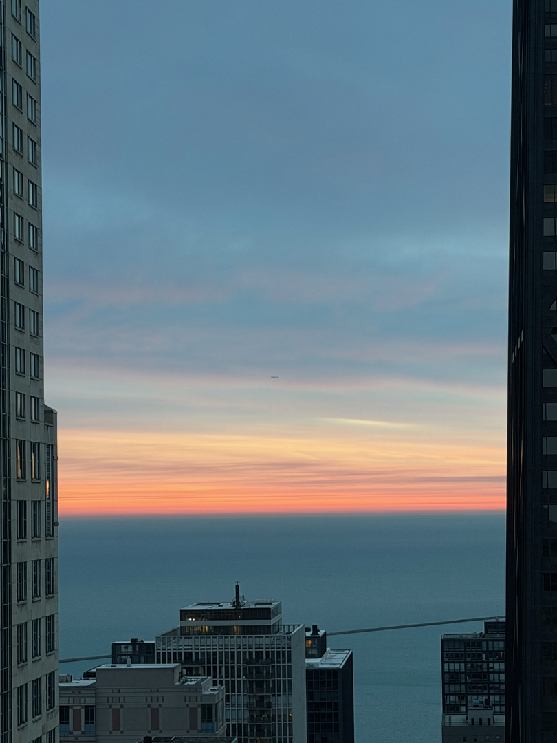 57 E Delaware Place Unit: 3804