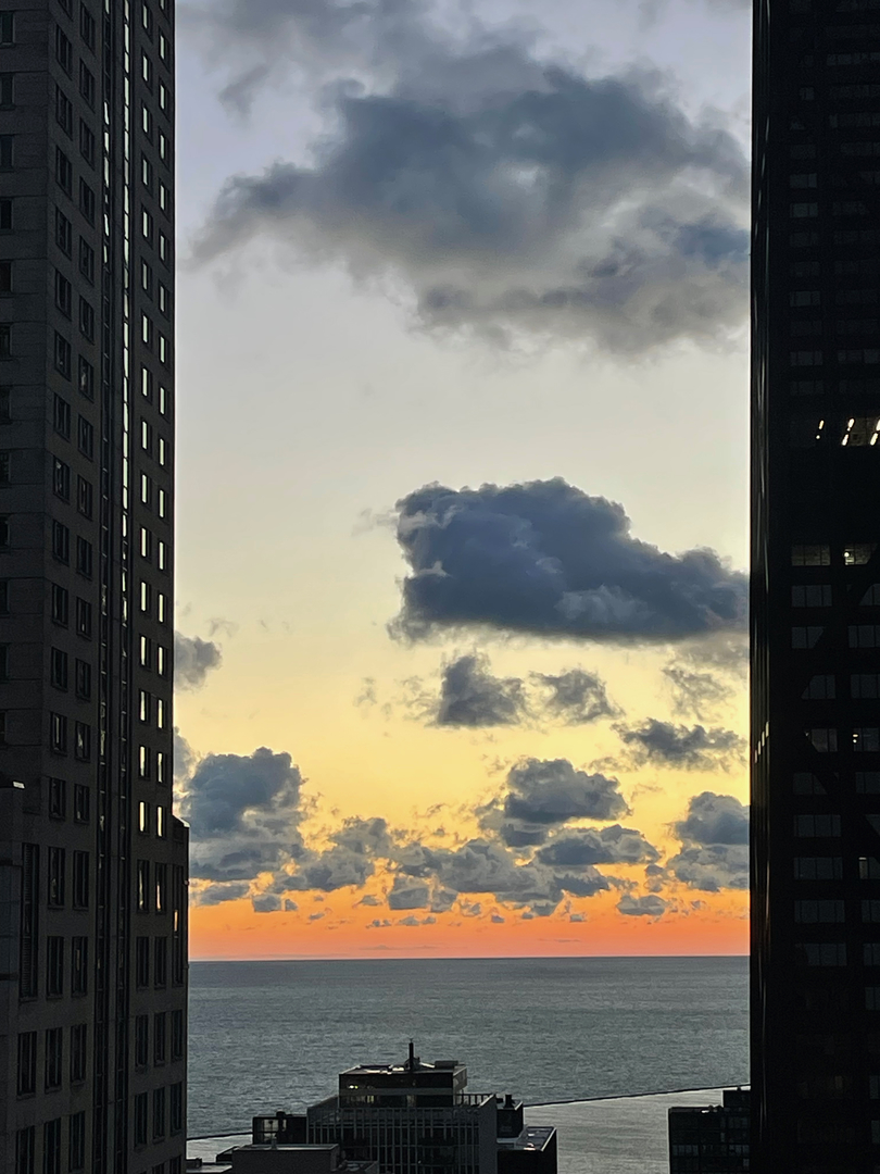 57 E Delaware Place Unit: 3804