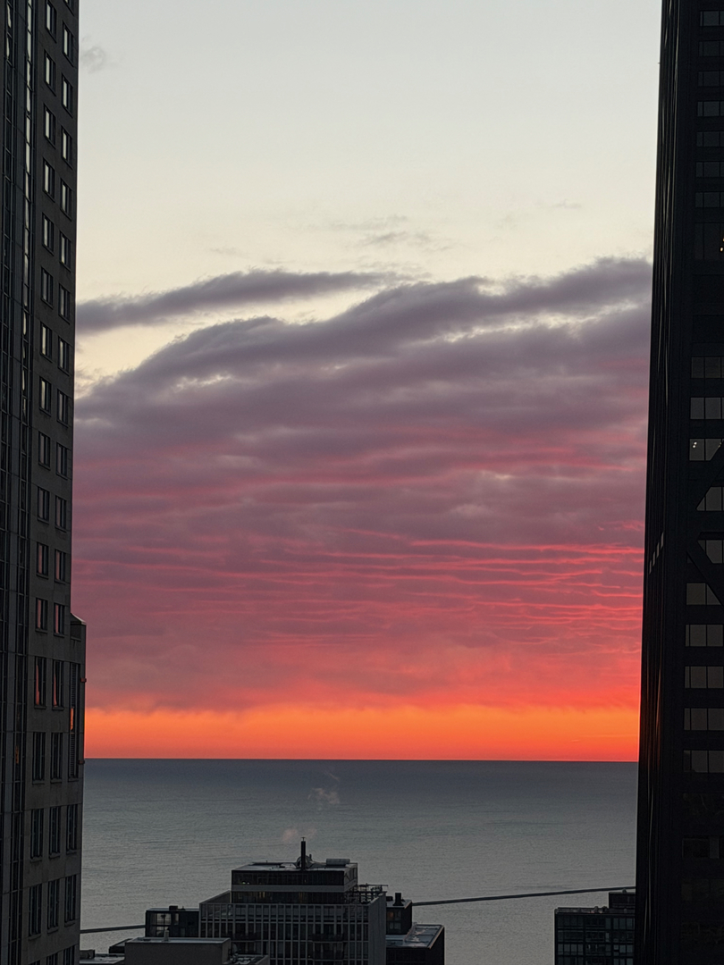 57 E Delaware Place Unit: 3804
