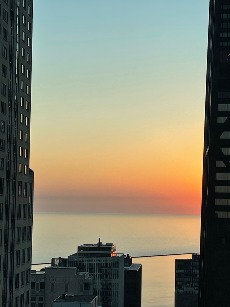 57 E Delaware Place Unit: 3804
