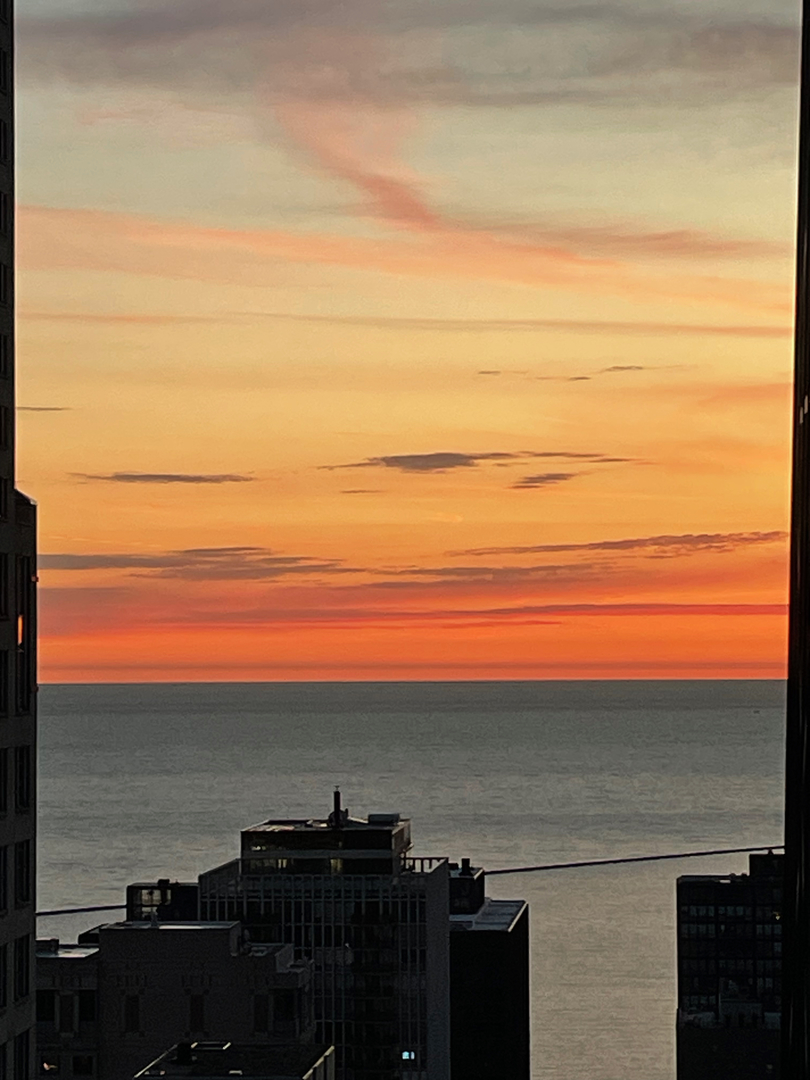57 E Delaware Place Unit: 3804