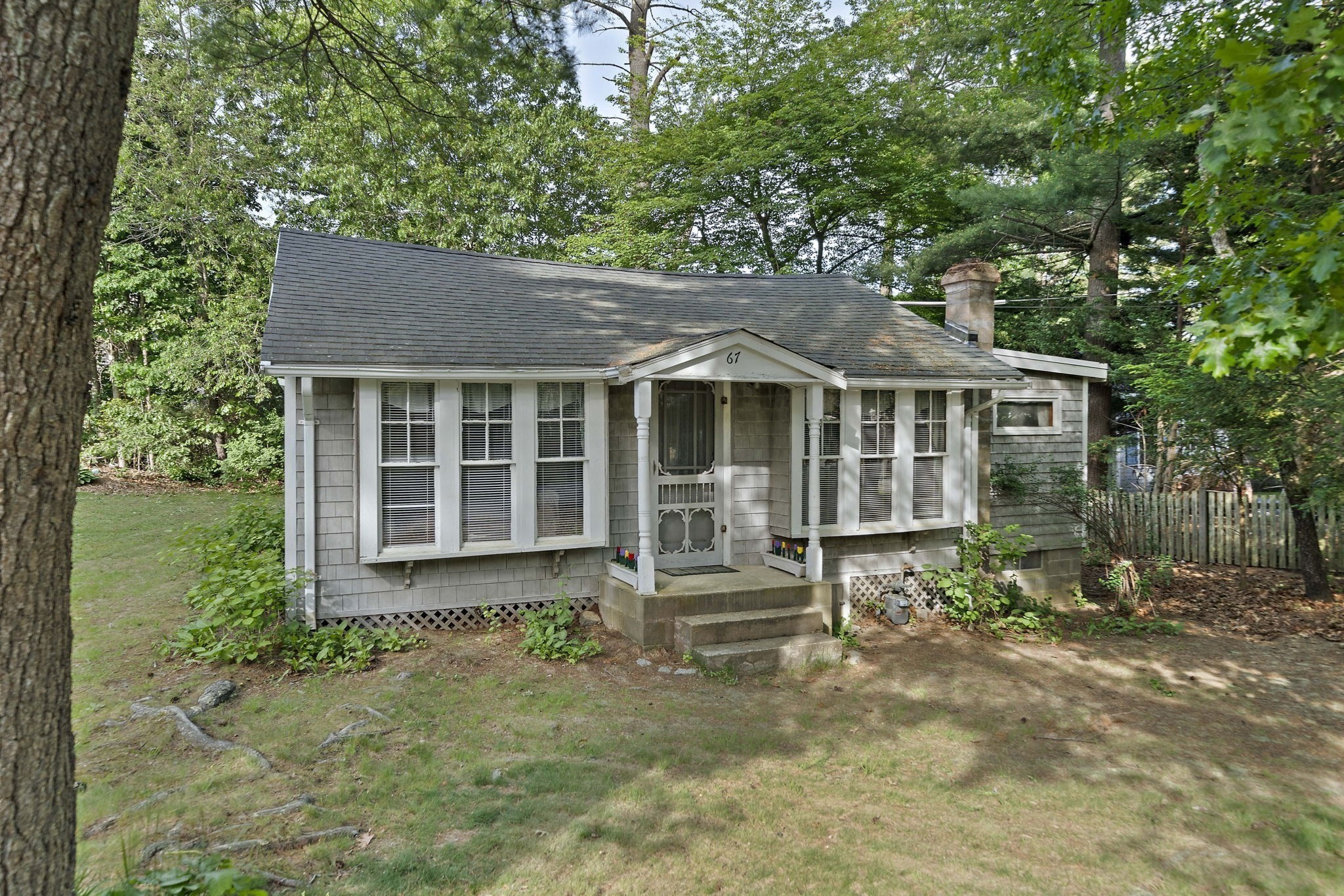 67 Priscilla Ave