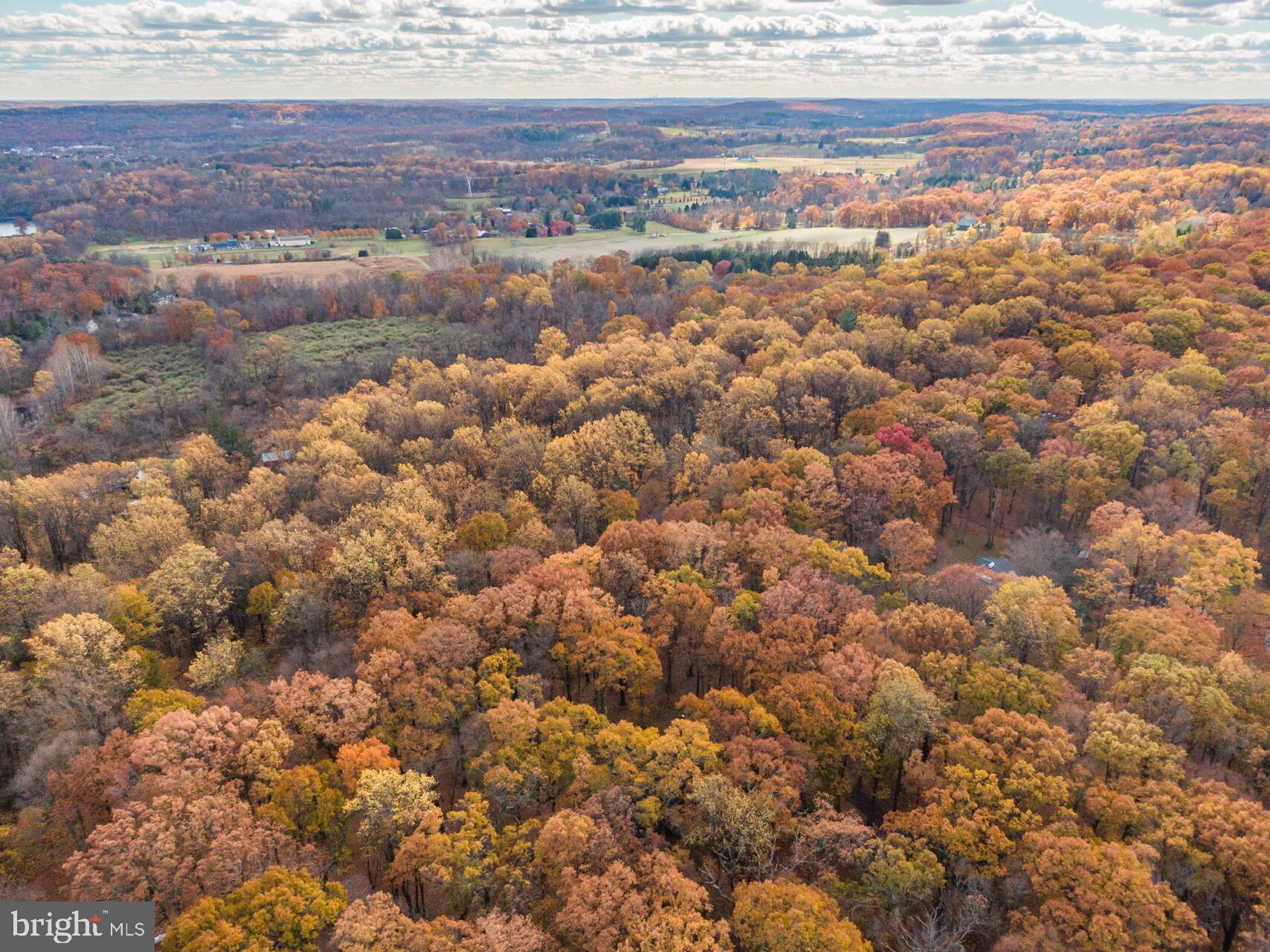 6950 UPPER YORK ROAD