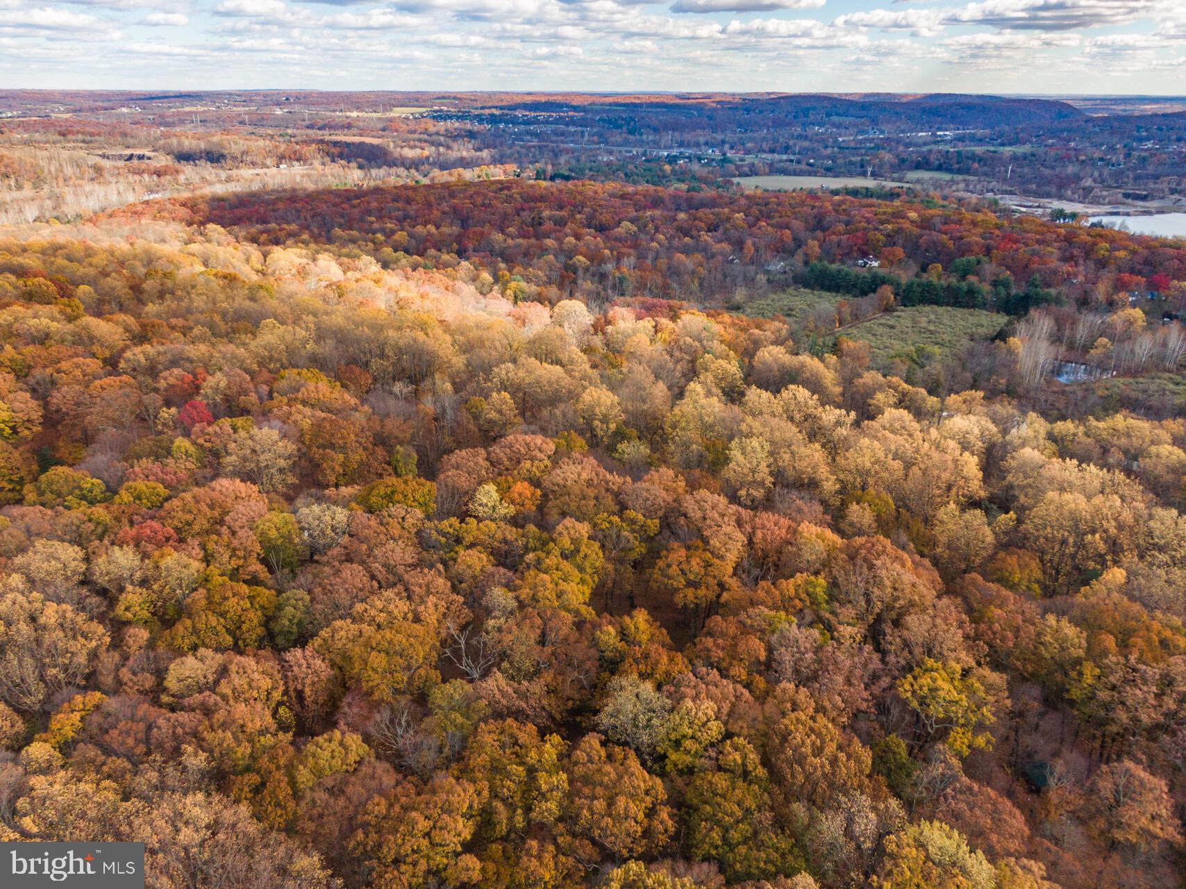 6950 UPPER YORK ROAD