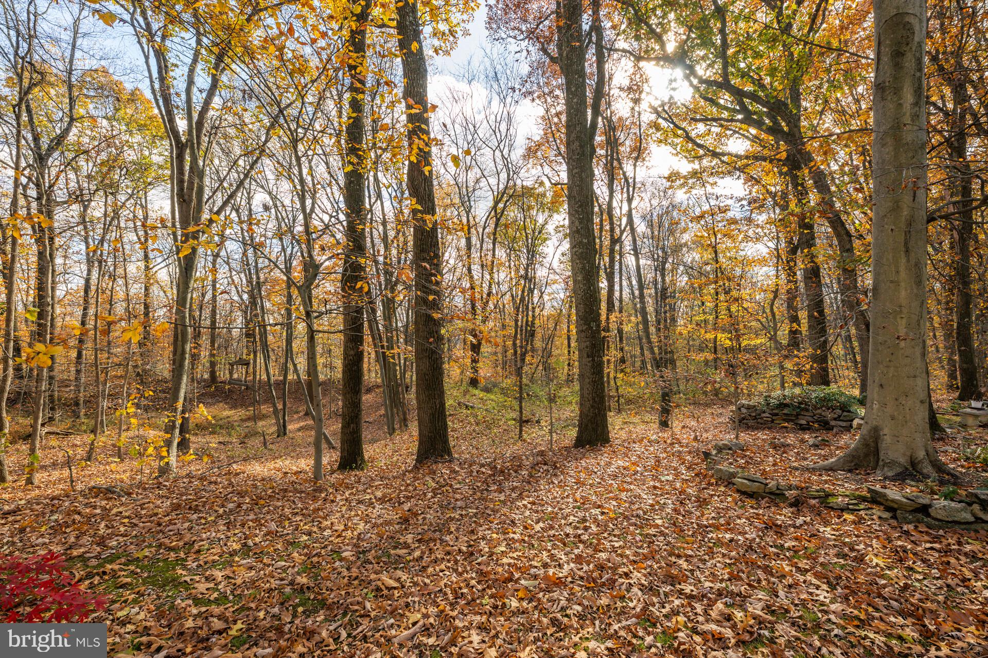 6950 UPPER YORK ROAD