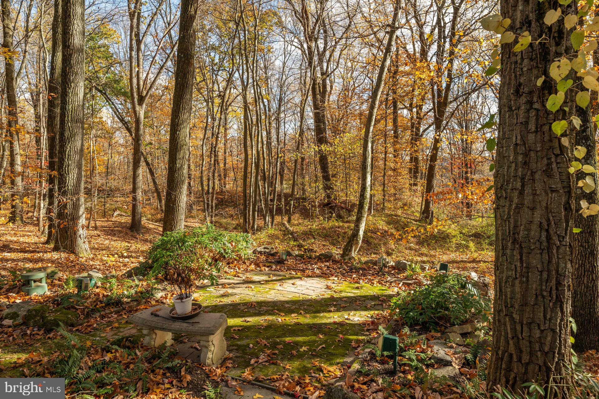 6950 UPPER YORK ROAD