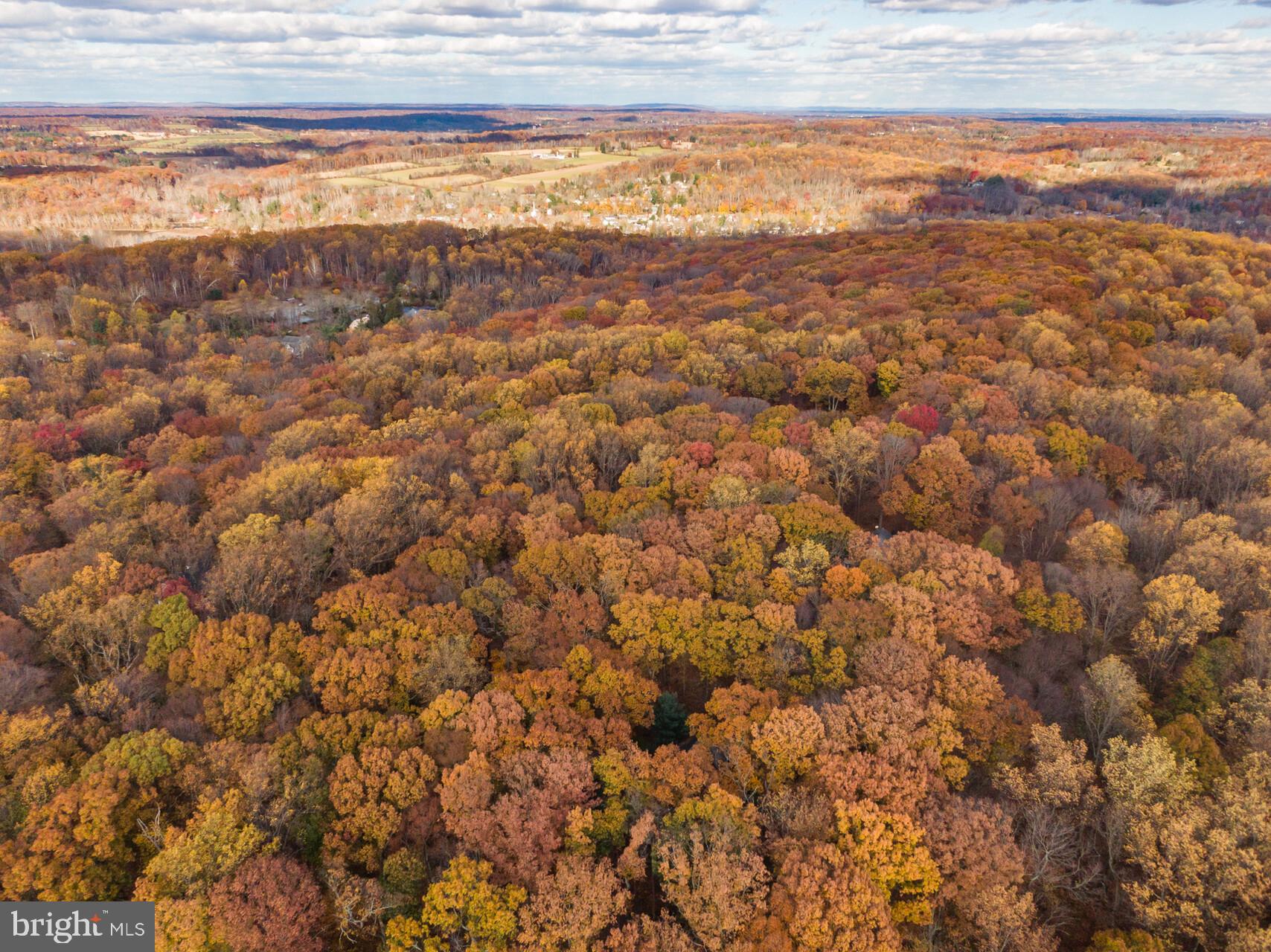 6950 UPPER YORK ROAD