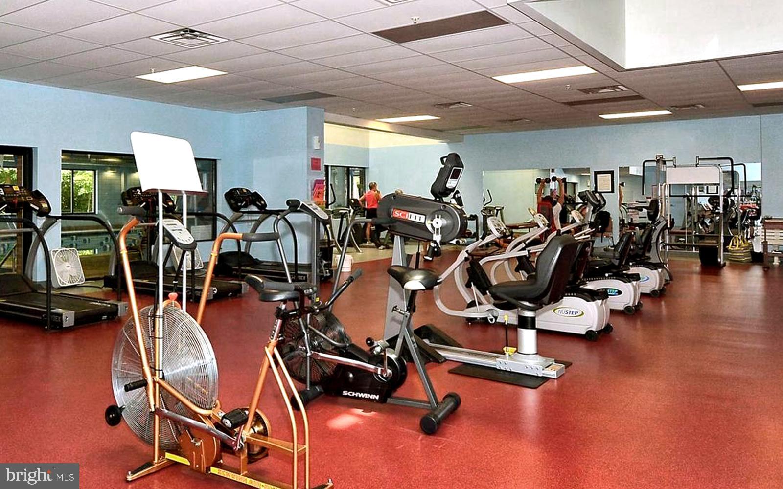 2900 Shipmaster Way #117