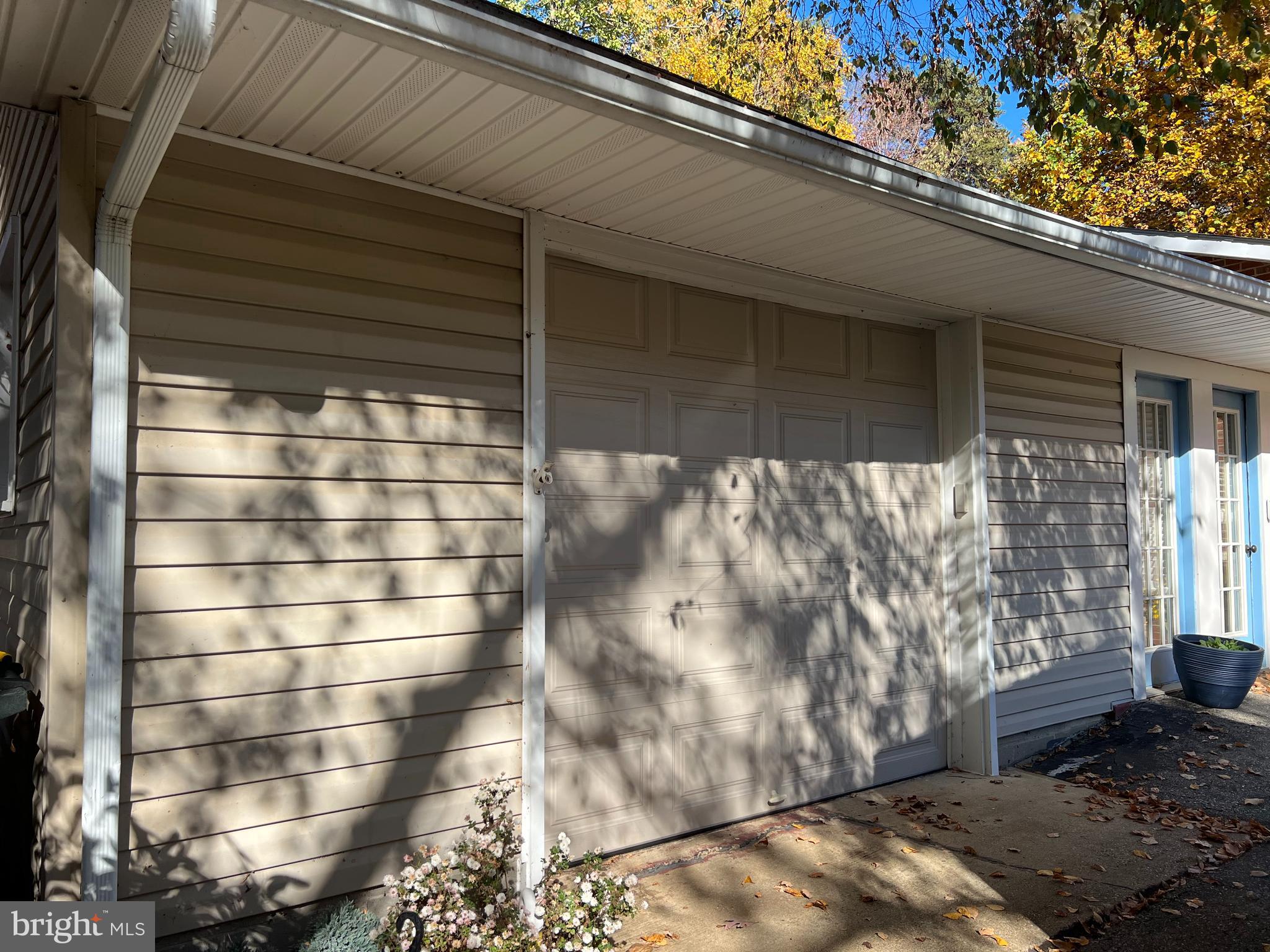 806 Chestnut Tree Dr