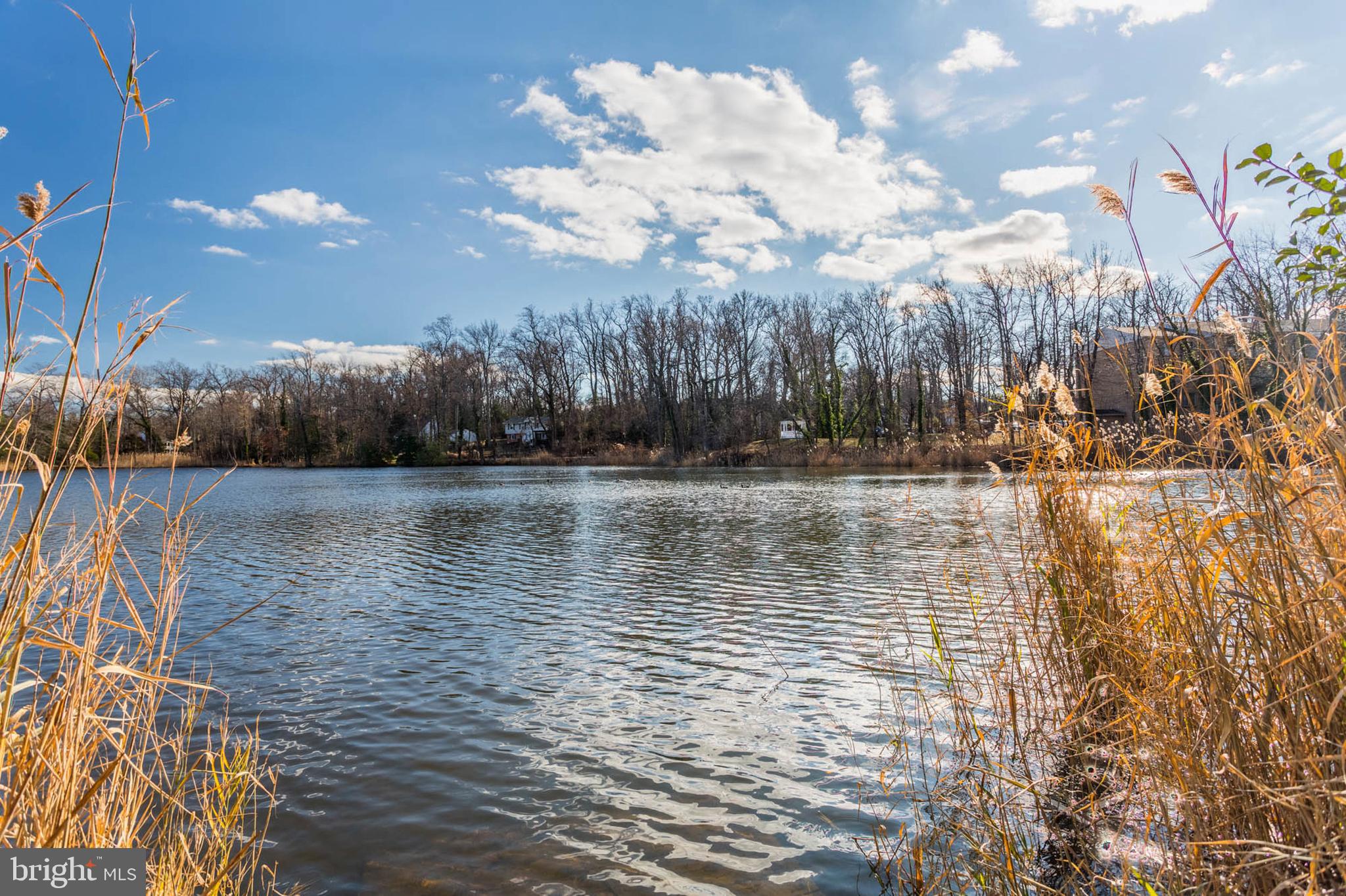 1136 Lake Heron Dr #3b