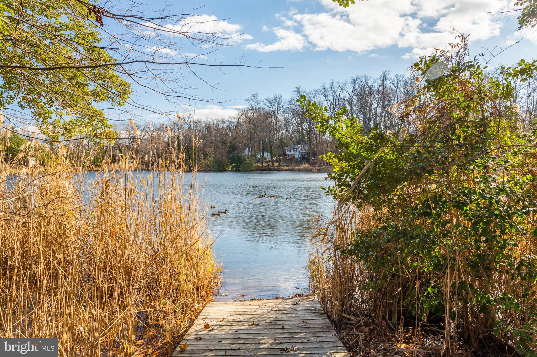 1136 Lake Heron Dr #3b