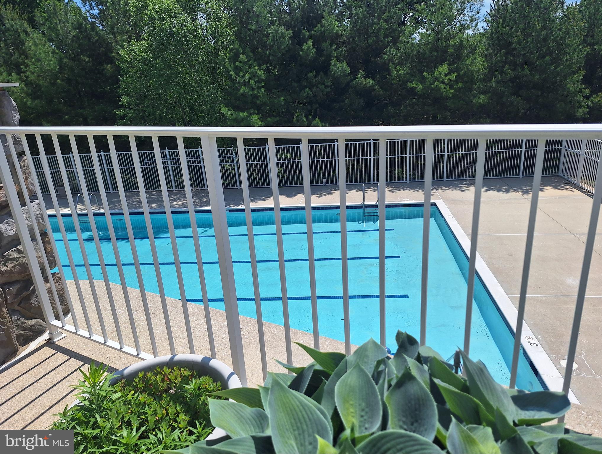 1509 FERAL DAE LANE 204