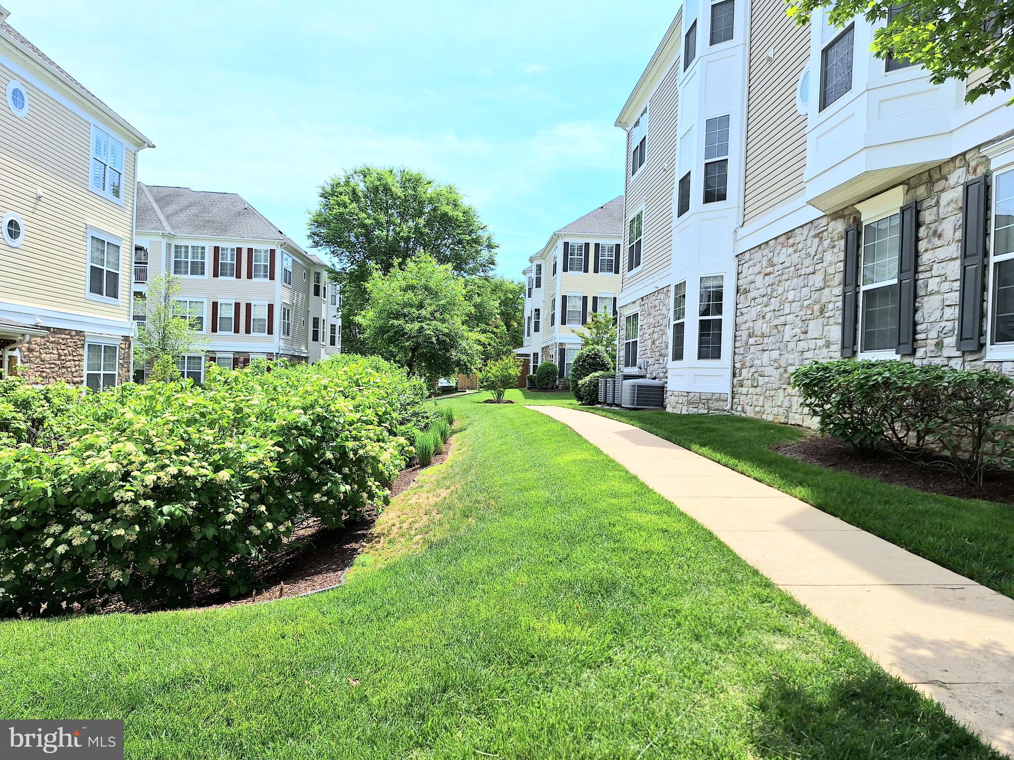 1509 FERAL DAE LANE 204