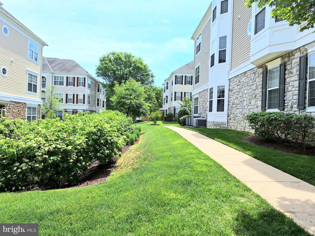 1509 FERAL DAE LANE 204