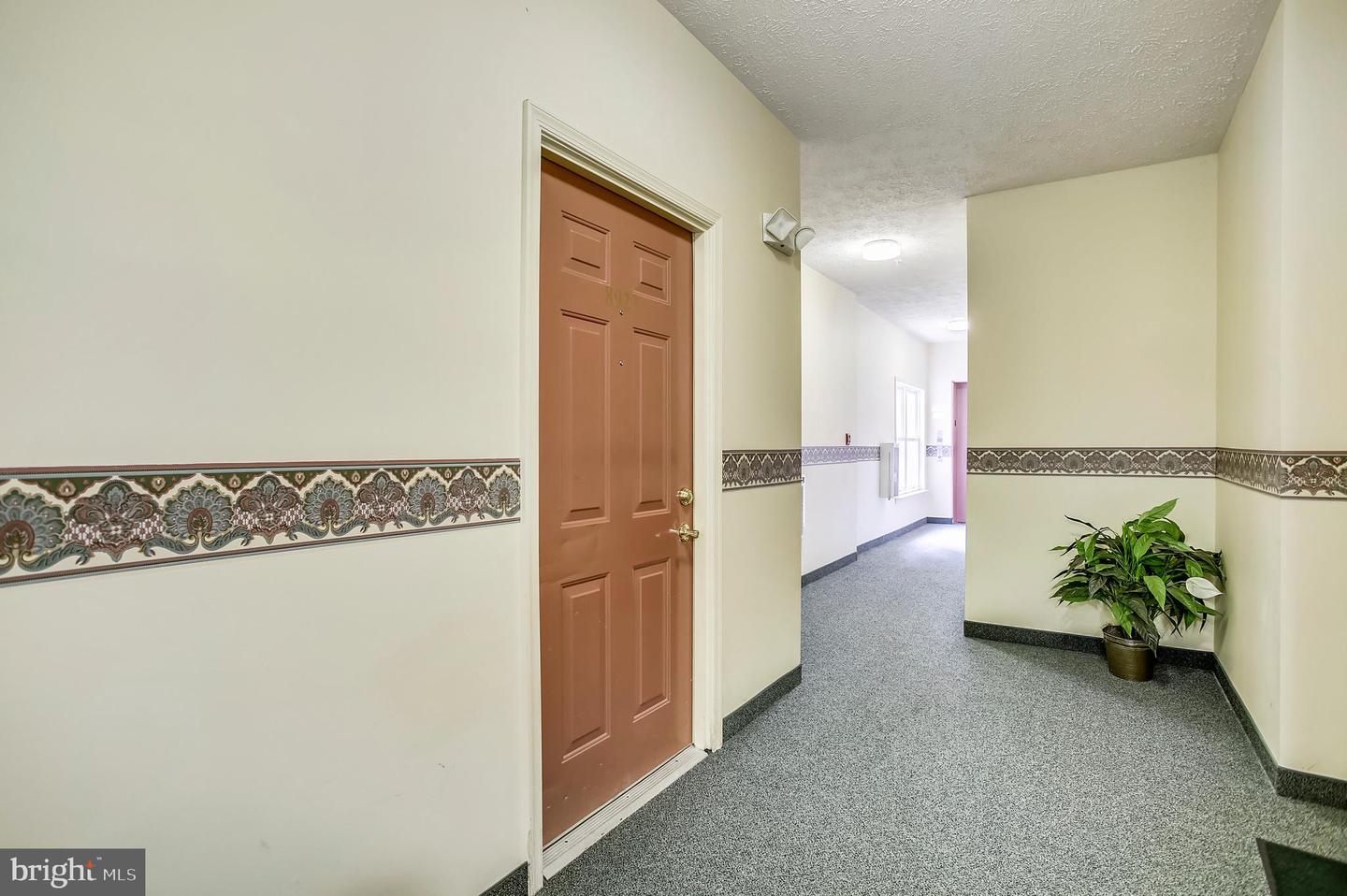 8923 Groffs Mill Dr #8923