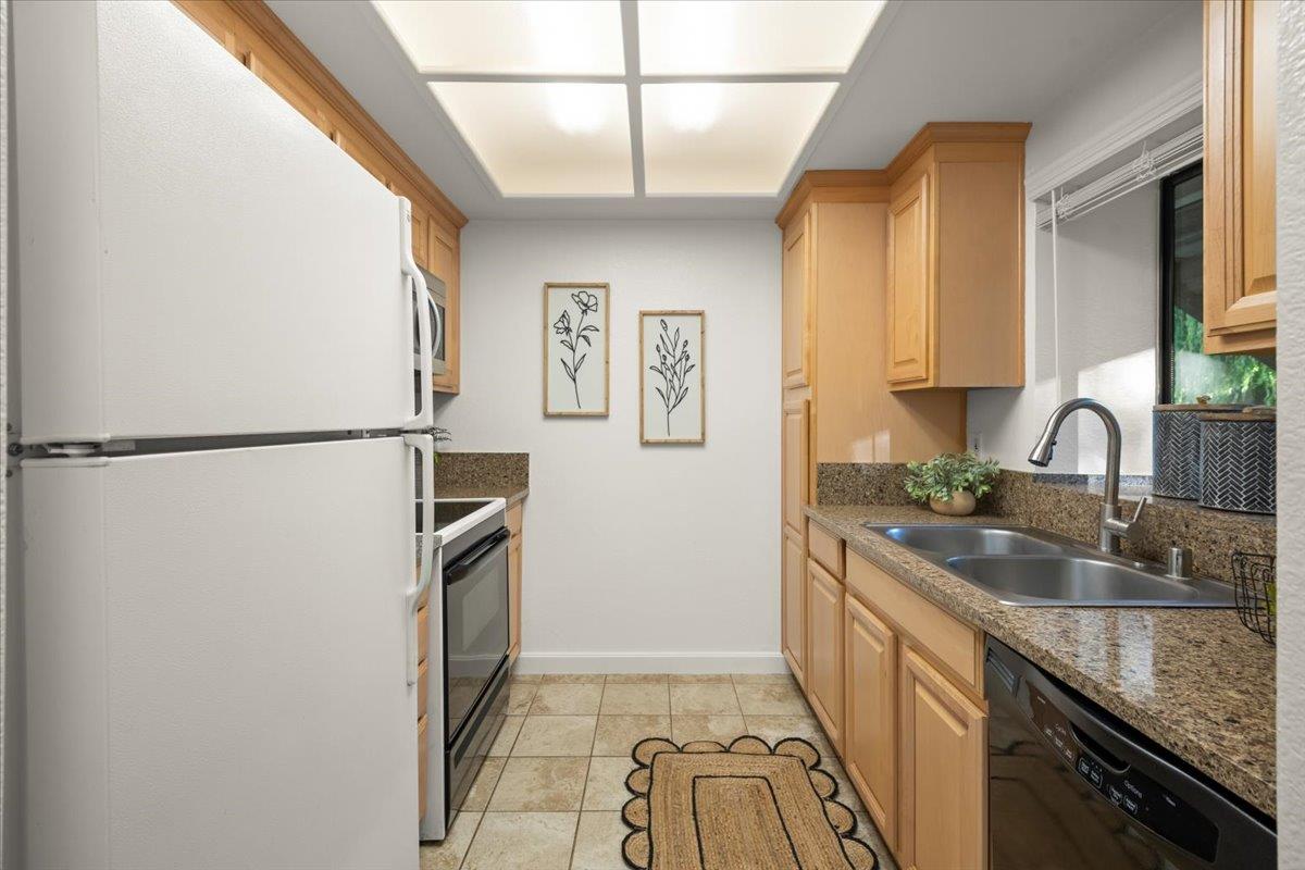 3346 Shadow Park Place