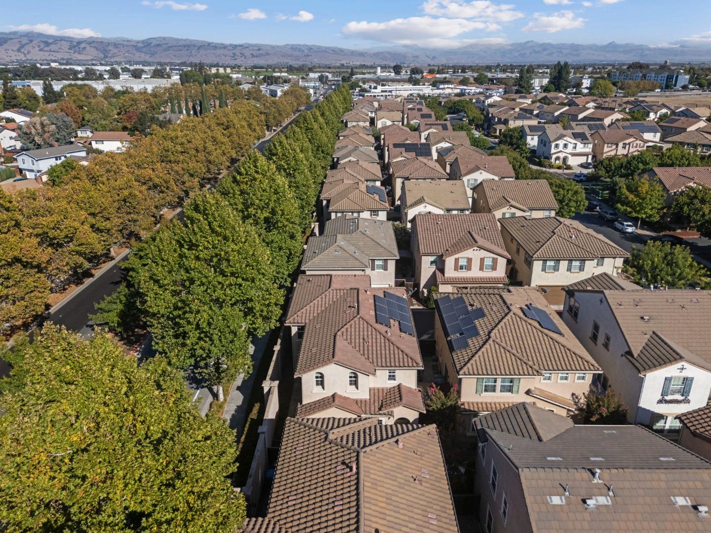 Aerial view of tiled-roof homes, tree-lined streets, and rolling hills in the distance.