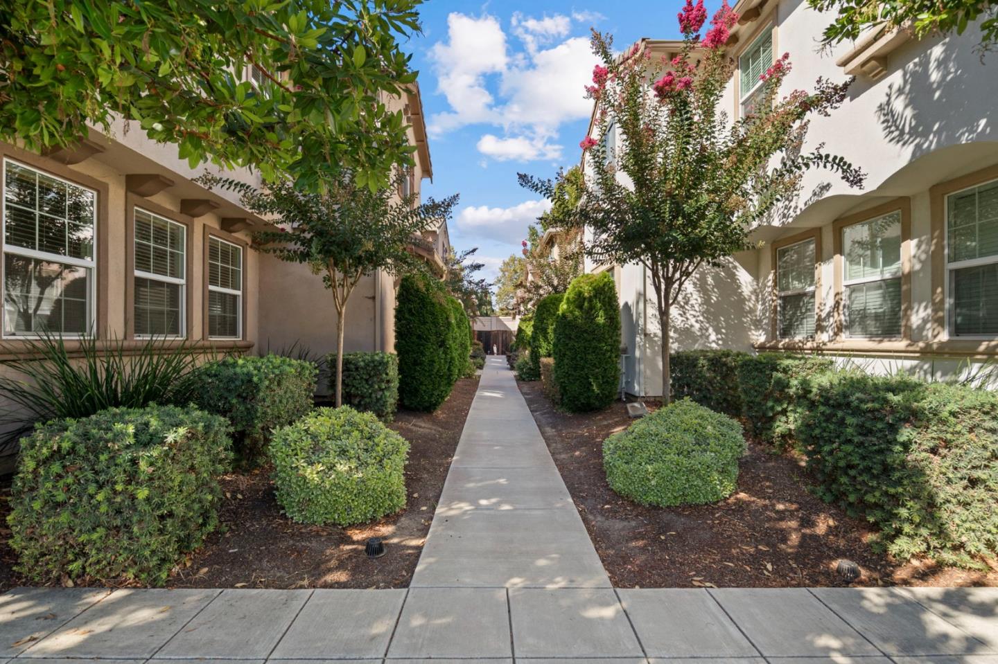 Landscaped walkway between residential buildings, lined with trimmed shrubs and flowering trees.