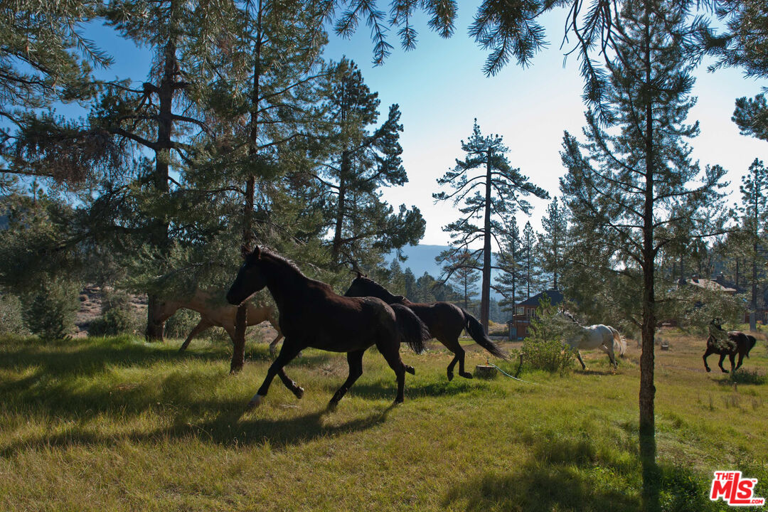 33224 Seymour Canyon Rd