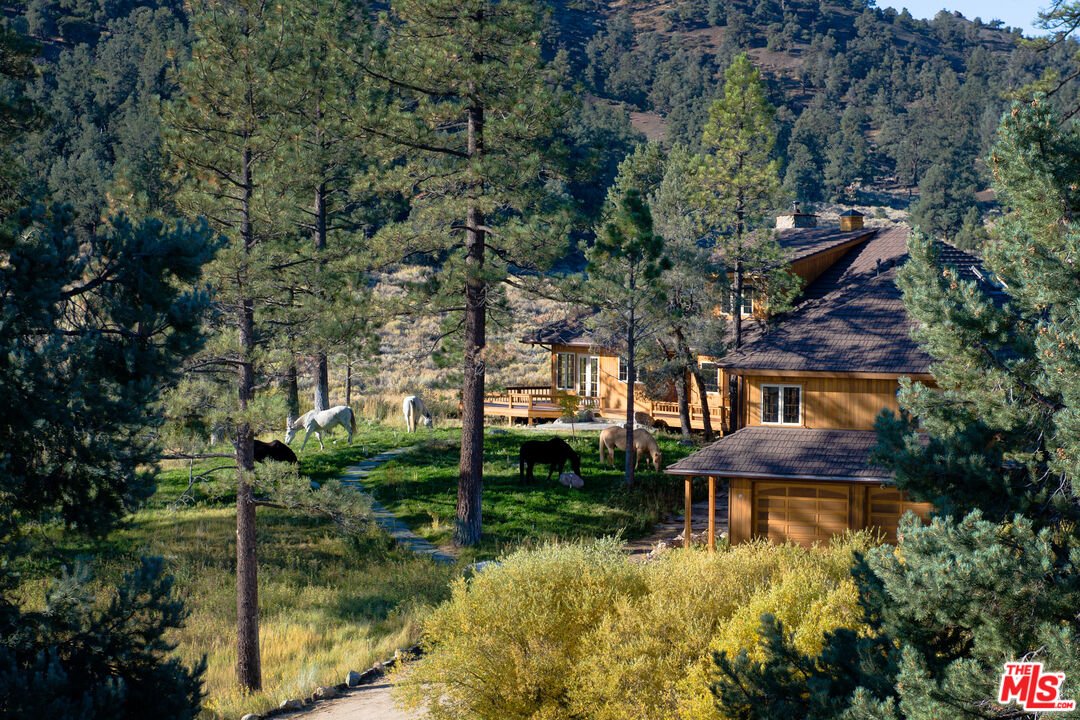 33224 Seymour Canyon Rd