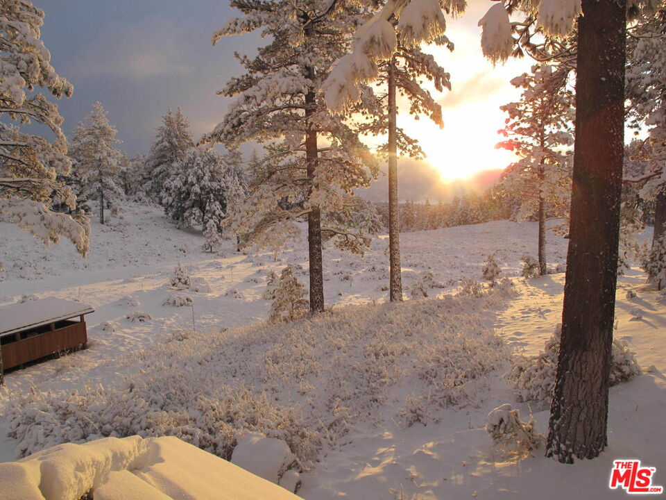 33224 Seymour Canyon Rd