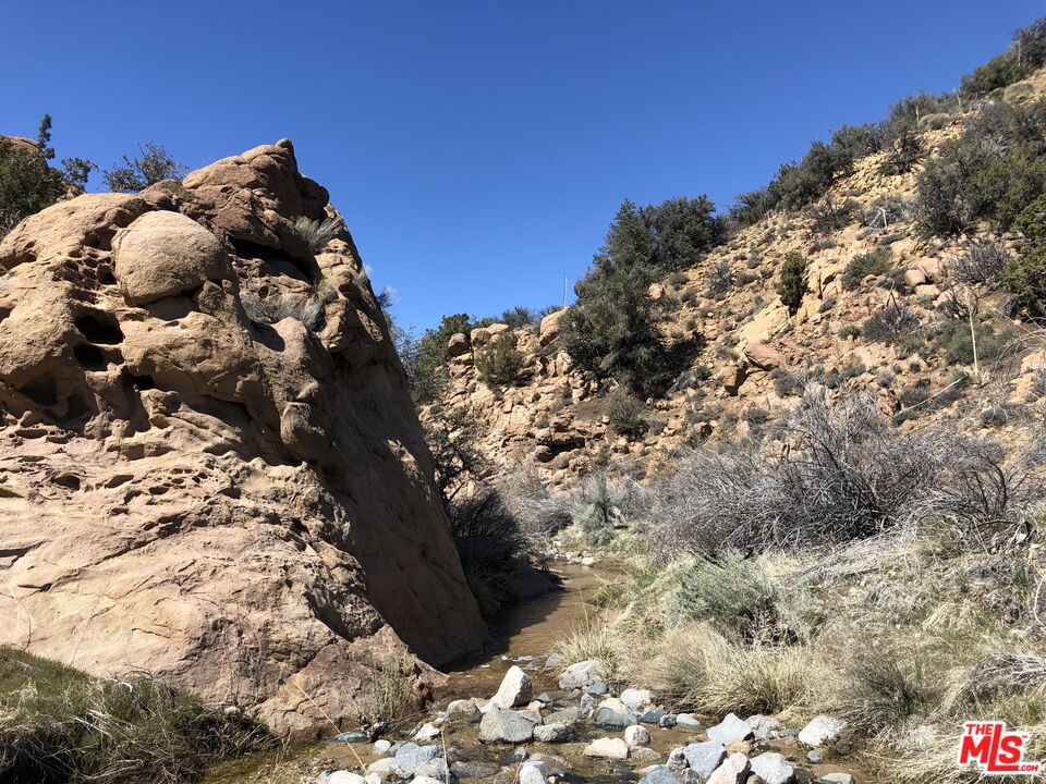 29310 Devils Punch Bowl Rd
