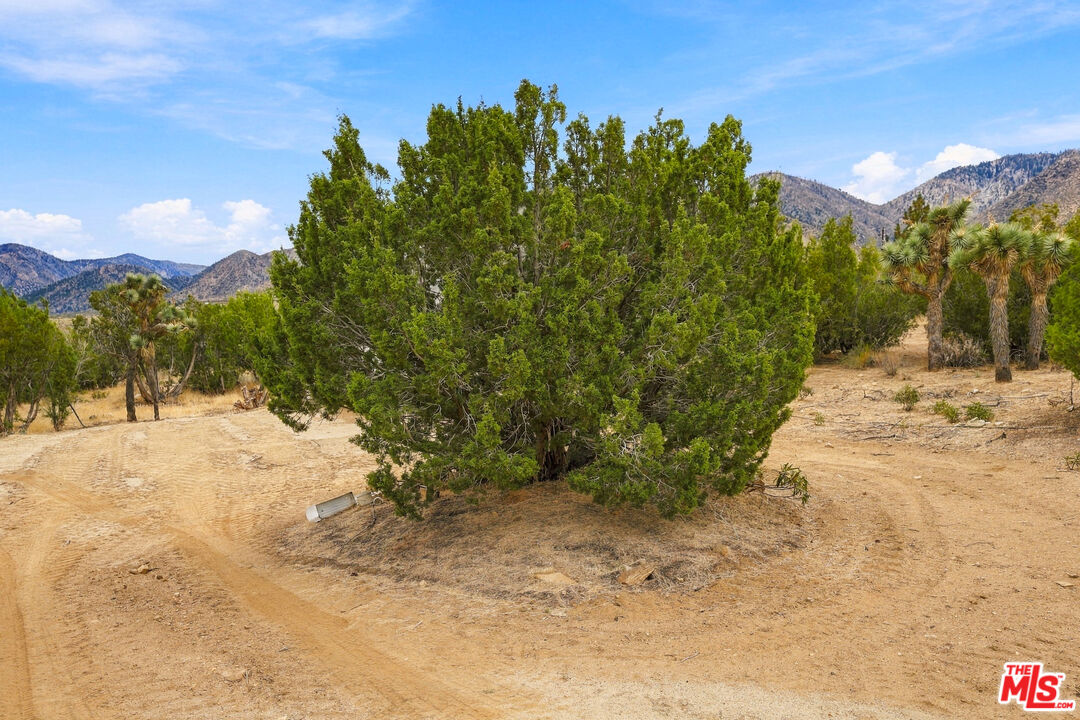 29310 Devils Punch Bowl Rd