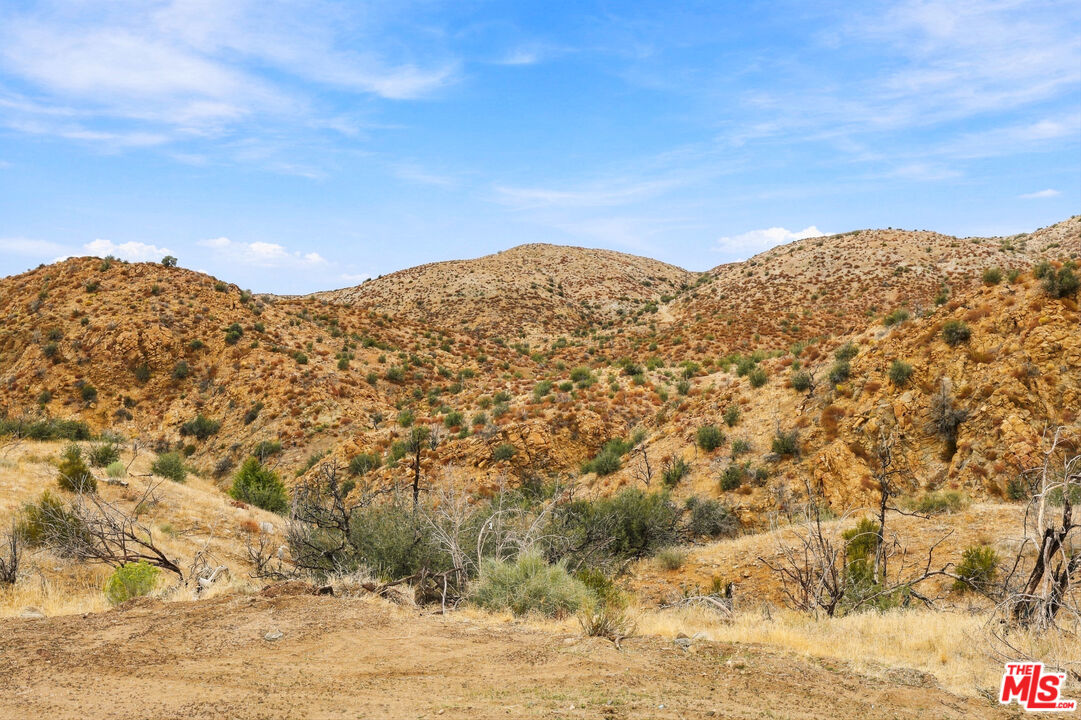 29310 Devils Punch Bowl Rd