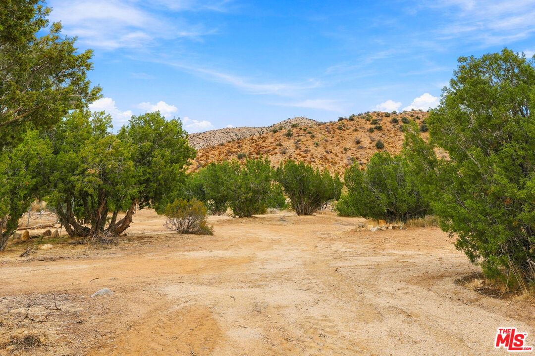 29310 Devils Punch Bowl Rd