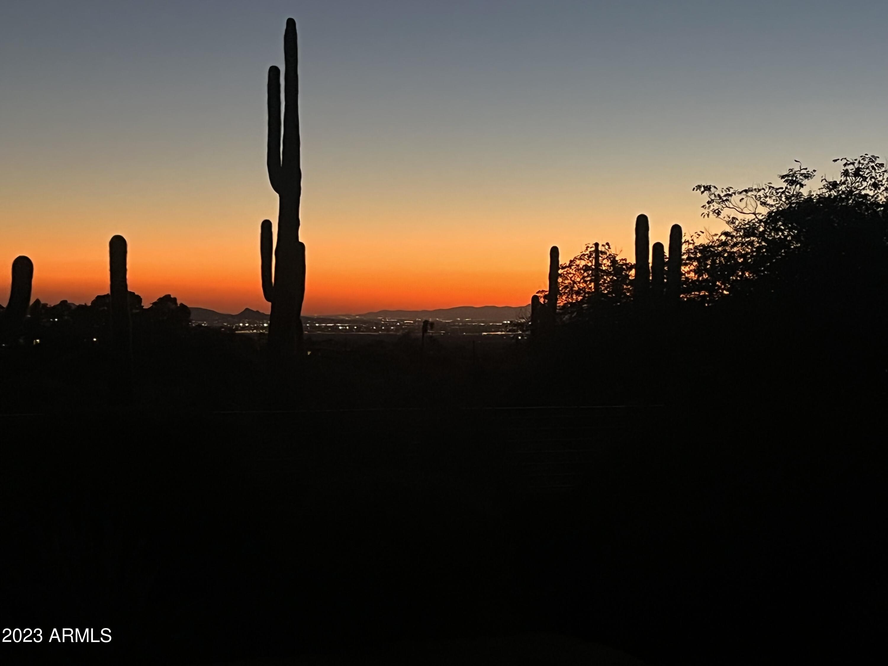 24200 N ALMA SCHOOL Road, 41