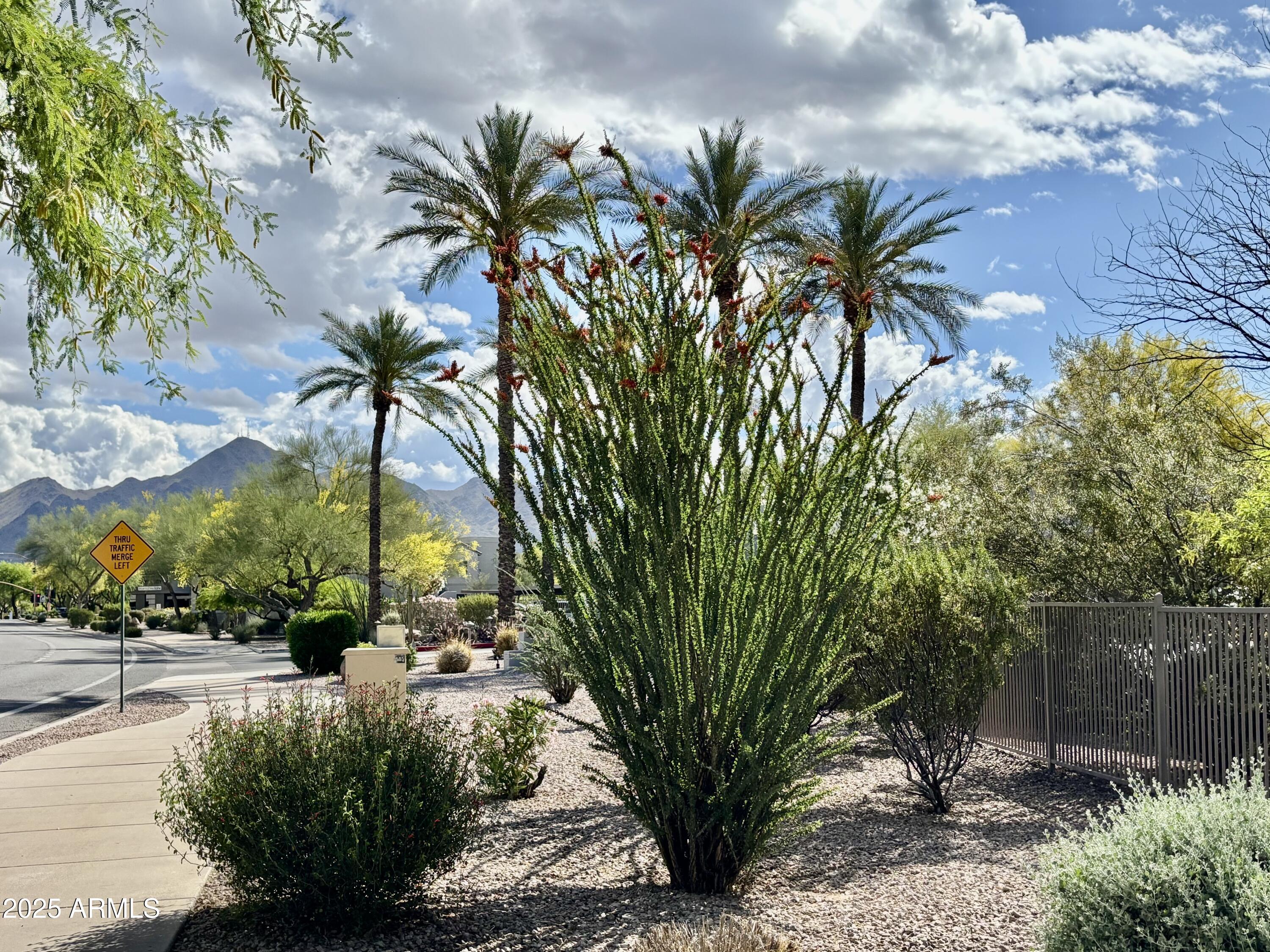 9555 E Raintree Drive 1055