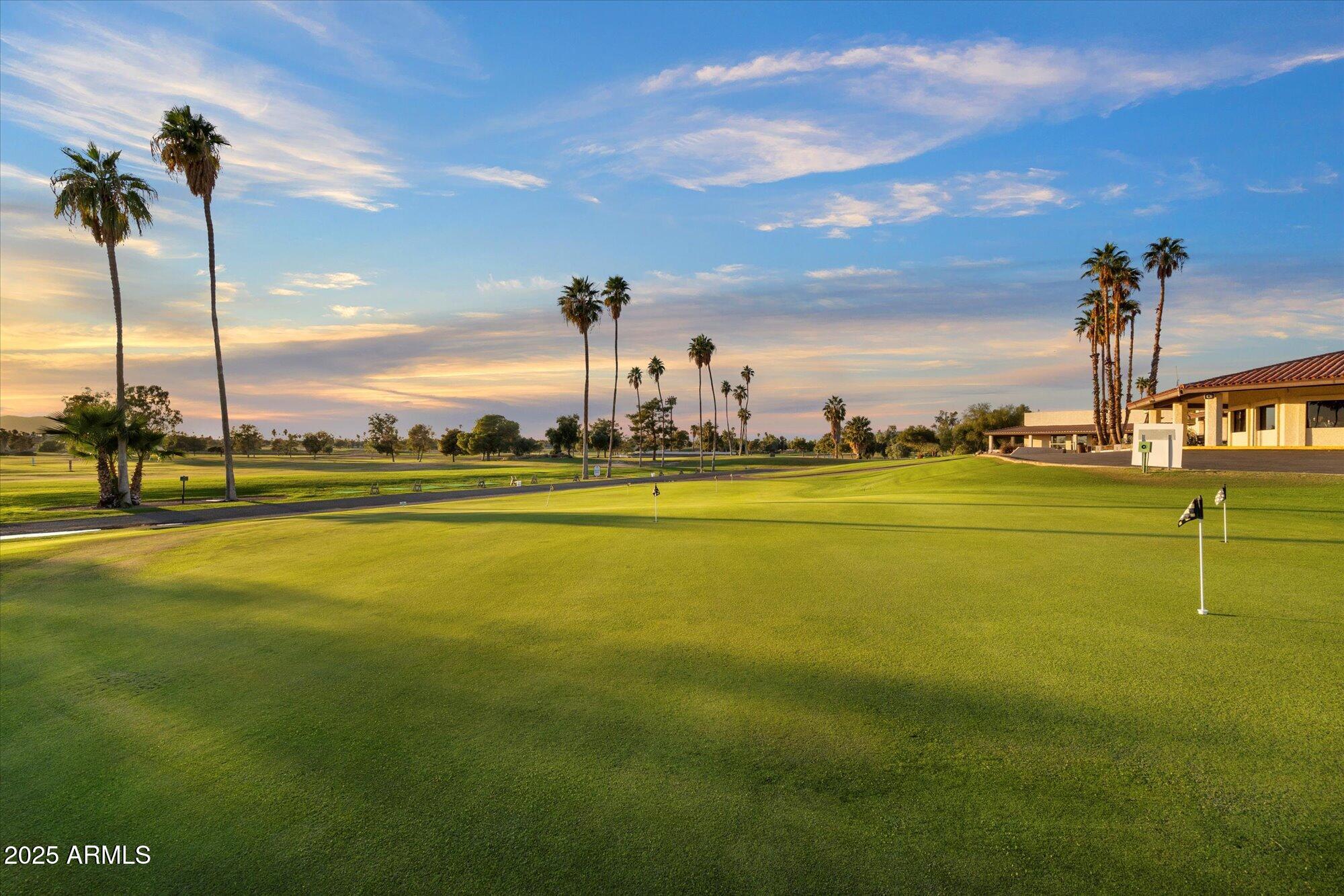 12511 W SHADOW HILLS Drive