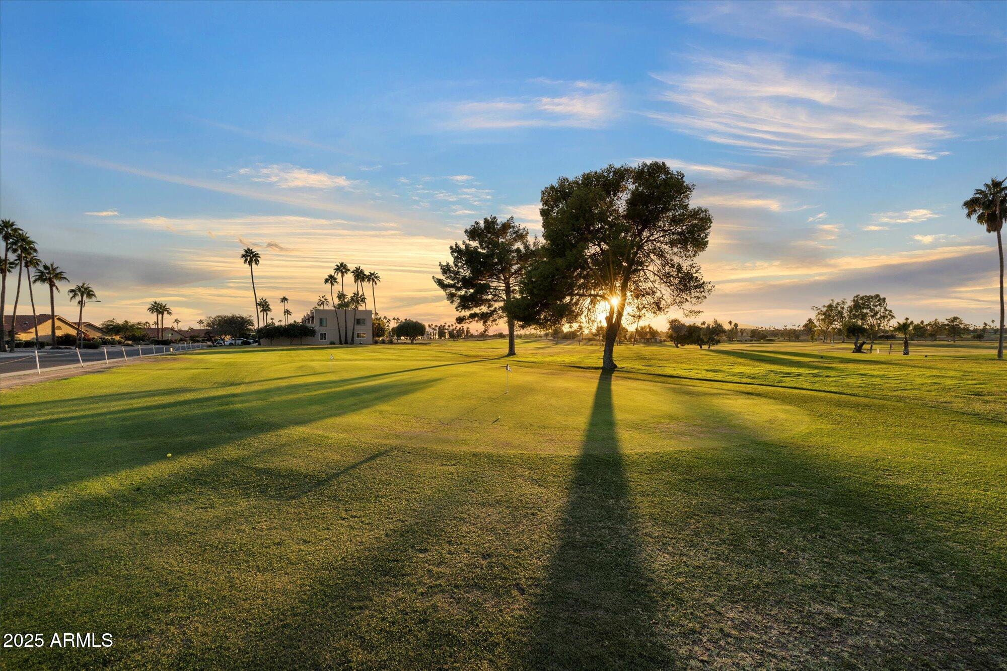 12511 W SHADOW HILLS Drive