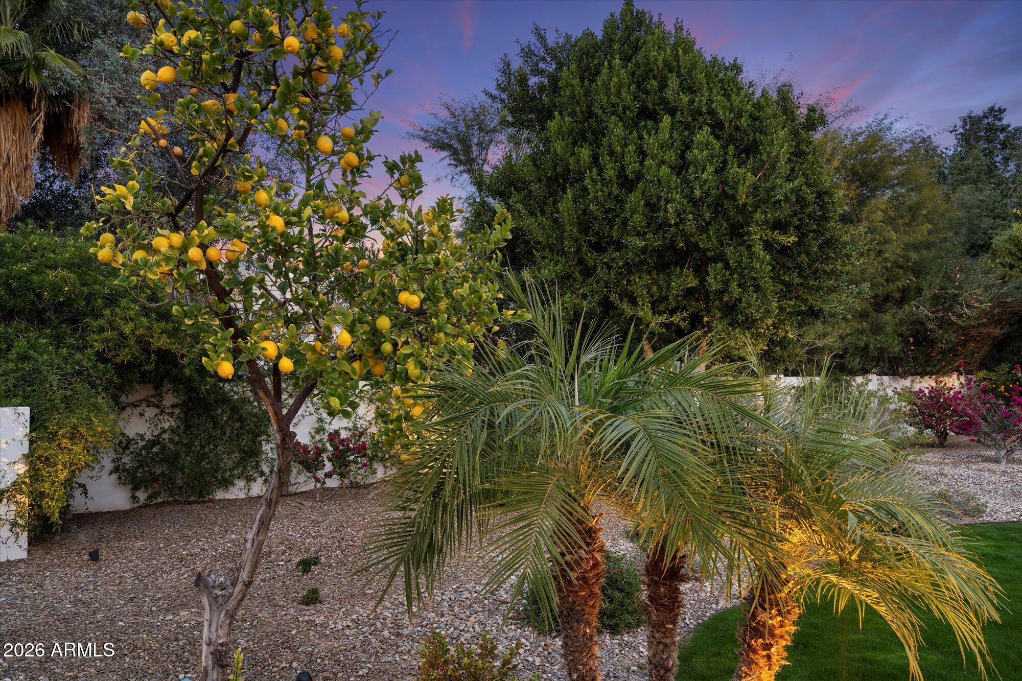 10380 E CHOLLA Street